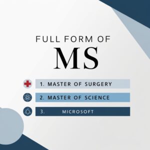 Leonardo_Phoenix_A_stylized_modern_and_minimalistic_flat_vecto_2