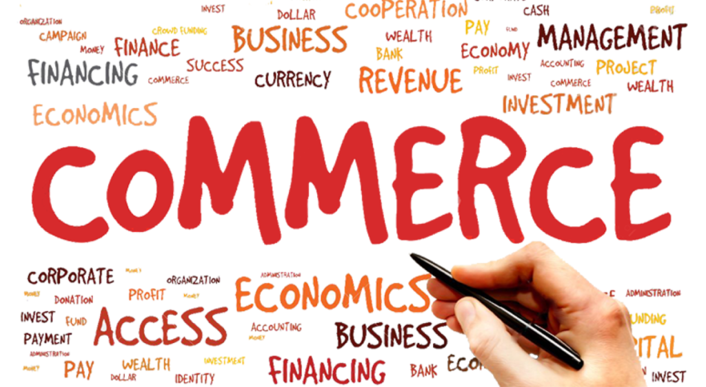 commerce career options
