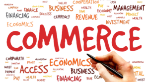 commerce career options
